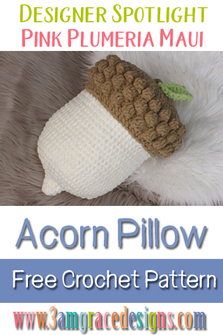 https://3amgracedesigns.com/wp-content/uploads/Acorn-Pillow-free-crochet-pattern.jpg